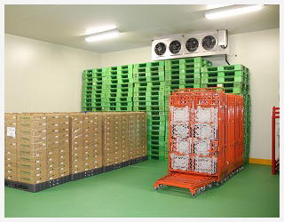 ������Љ��������̒艷�q��