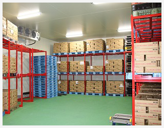 ������Љ��������̒艷�q��