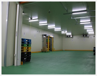 ������Љ��������̒艷�q��